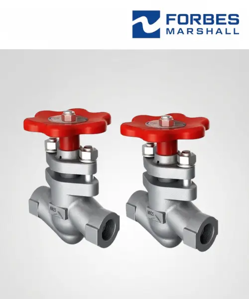 Forbes Marshall Piston Valve 