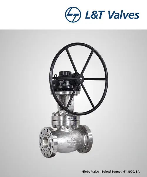 6" Class 900 Globe Valve