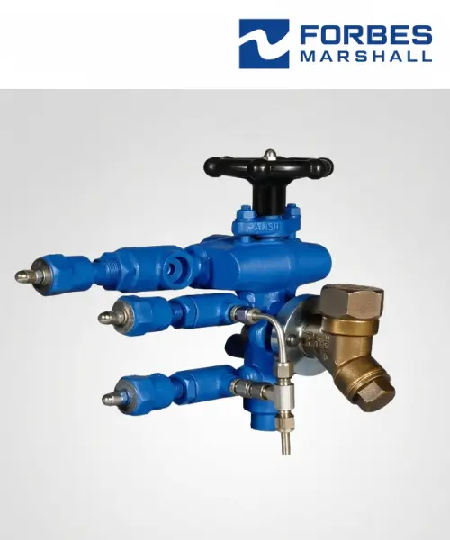 Forbes Marshall Compact Steam Trapping Assembly Supplier 