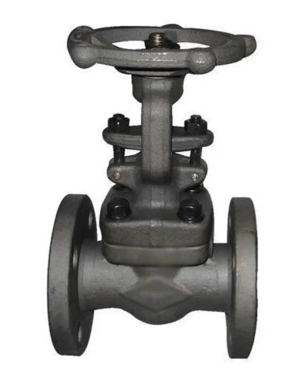 Leader Forged Steel Flanged Gate Valve (Class 150, 300, 600)