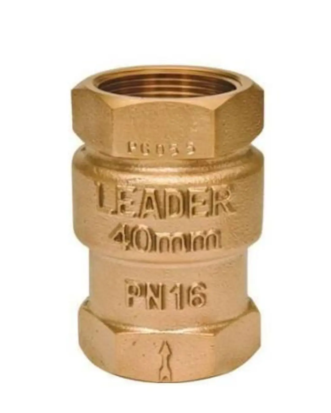 Leader Gunmetal Vertical Lift Check Valves