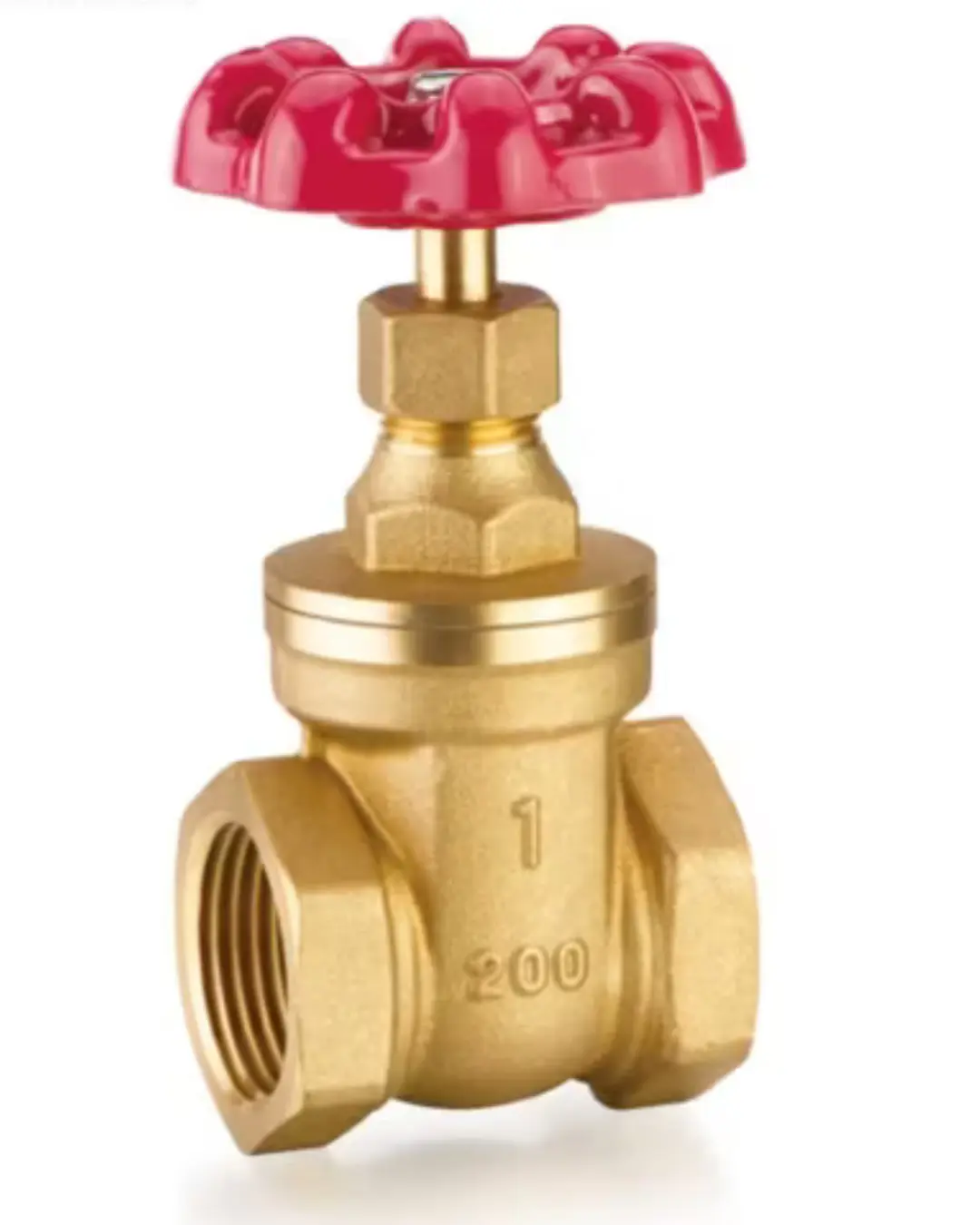 Leader Forged Brass Gate Valve ISI Marked