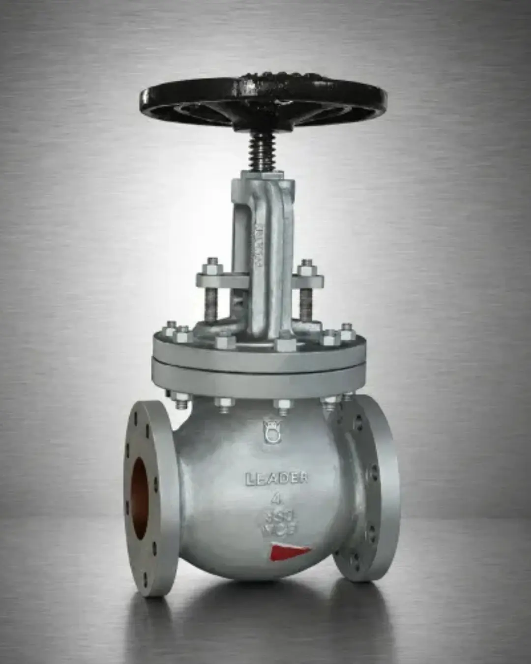 Leader Cast Steel Globe Valve
