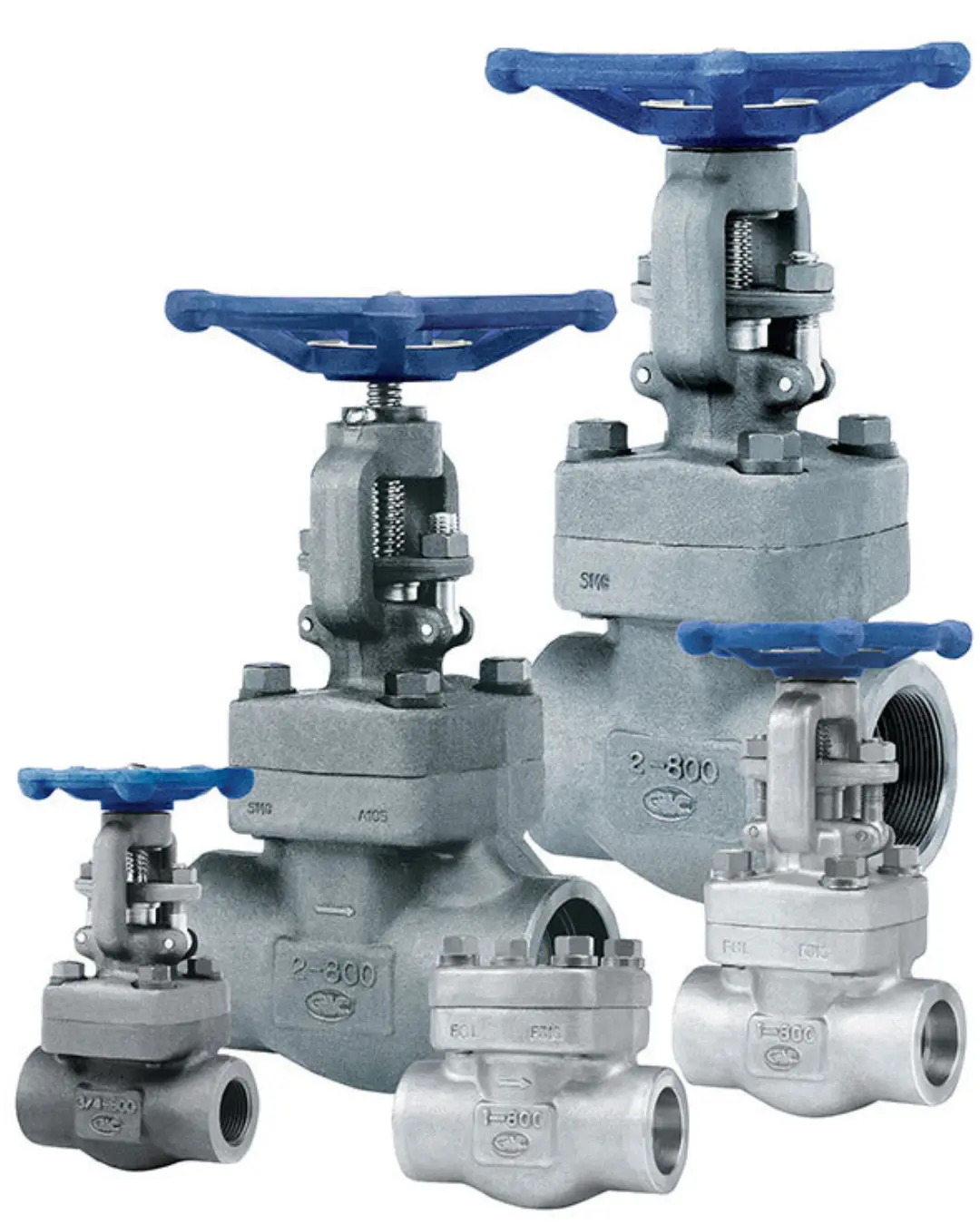 Audco Forged Steel Gate Valve