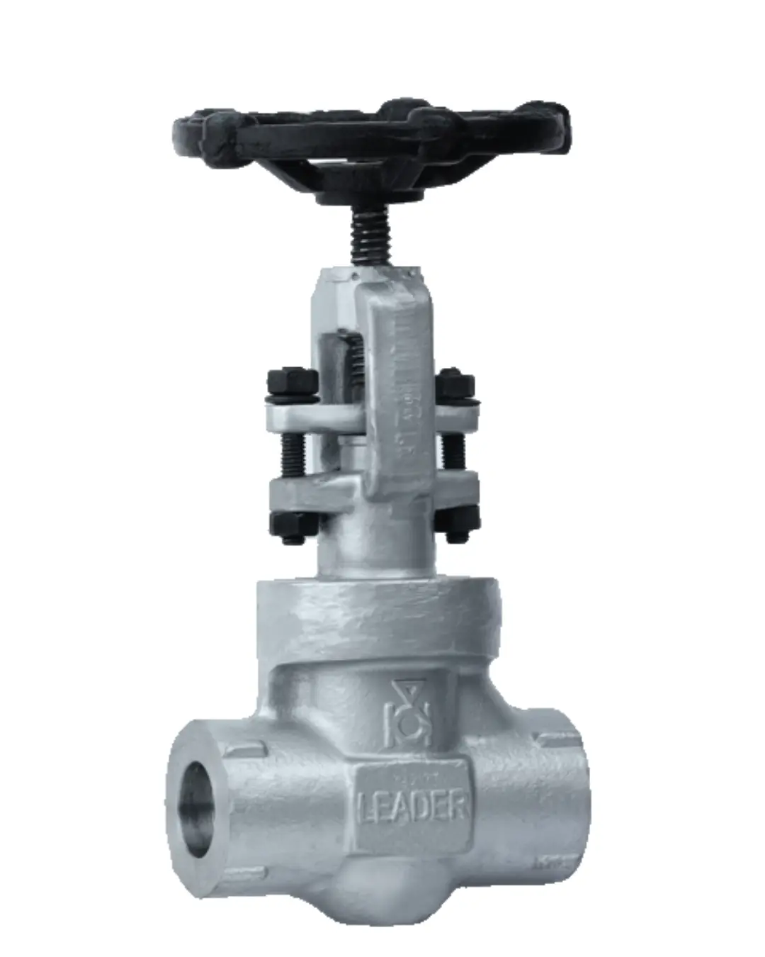 Leader Forged Steel Globe Valve (Socket Weld / Screwed)