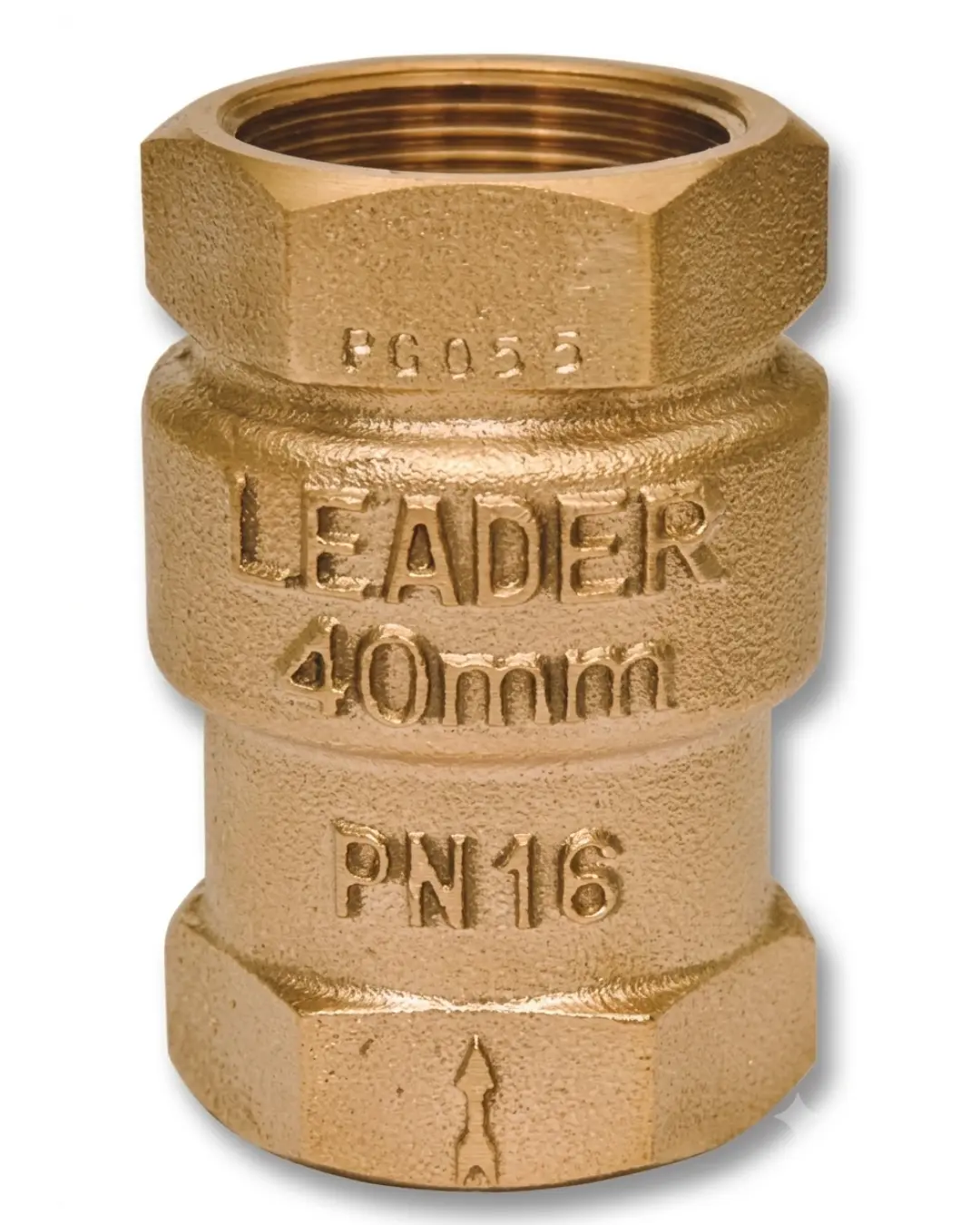 Leader Gunmetal Vertical Lift Check Valves