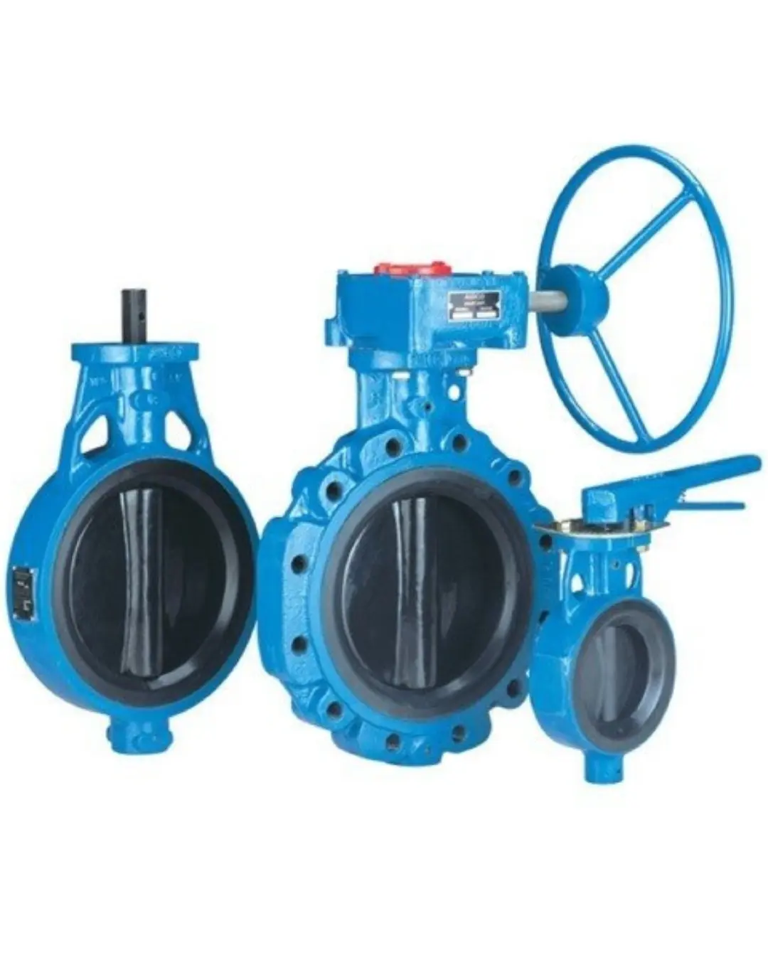 Audco Butterfly Valve