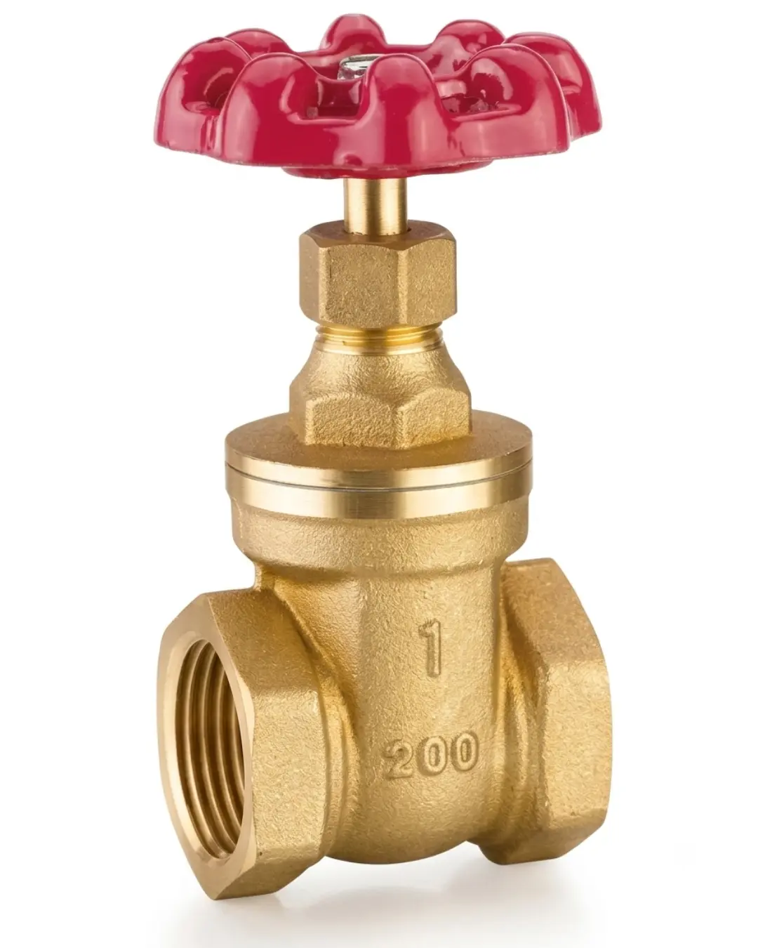 Leader Forged Brass Gate Valve ISI Marked
